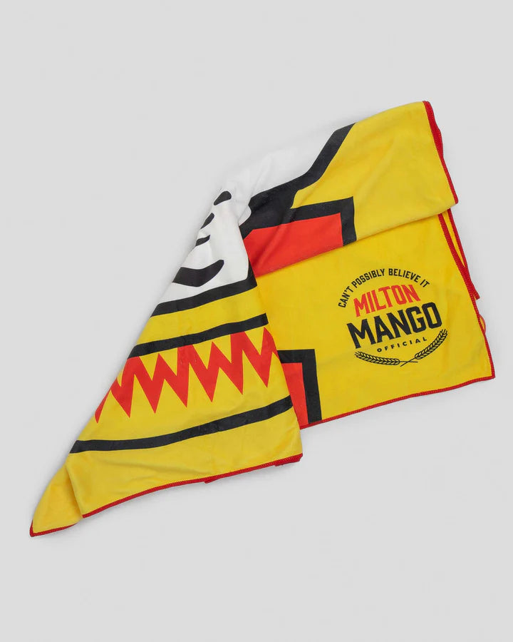 AB M and M Beach Towel